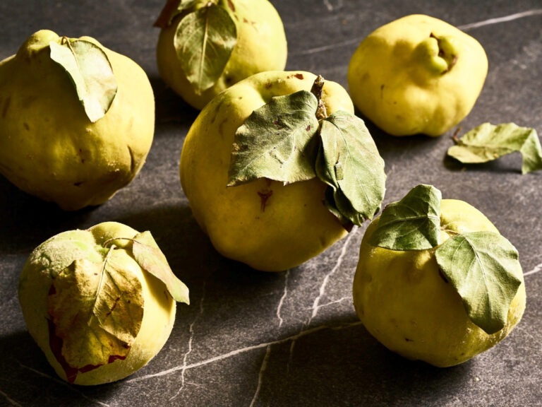 Quinces - Womenstourscrete.com